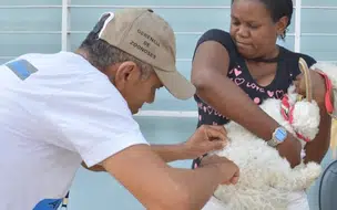 Zonas Leste e Norte de Teresina terão vacinação de cães e gatos neste sábado