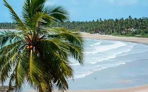 Brasil tem recorde de praias e marinas premiadas com a Bandeira Azul em 2021