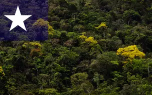 Evento apresenta potenciais do Piauí na produção de hidrogênio verde na Europa
