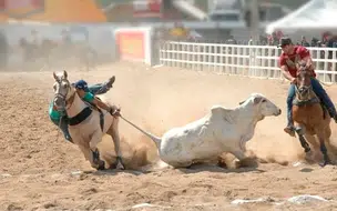 Foi adiada votação de projeto que transforma vaquejada em esporte