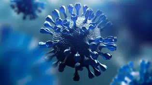 Aumento de casos de Covid nas Américas preocupa OMS