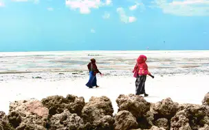 Covid-19 afeta tursimo e pode gerar perda astronômica na economia global