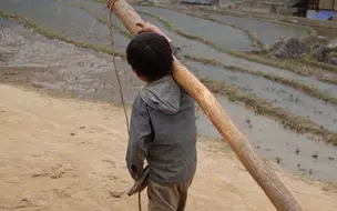 Trabalho infantil atinge recorde de 160 milhões no mundo