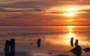 Número de turistas internacionais cai 83% no primeiro trimestre do ano, diz OMT