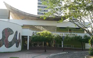 Quem atropelar animais sem prestar socorro pode ser multado em até 10 salários