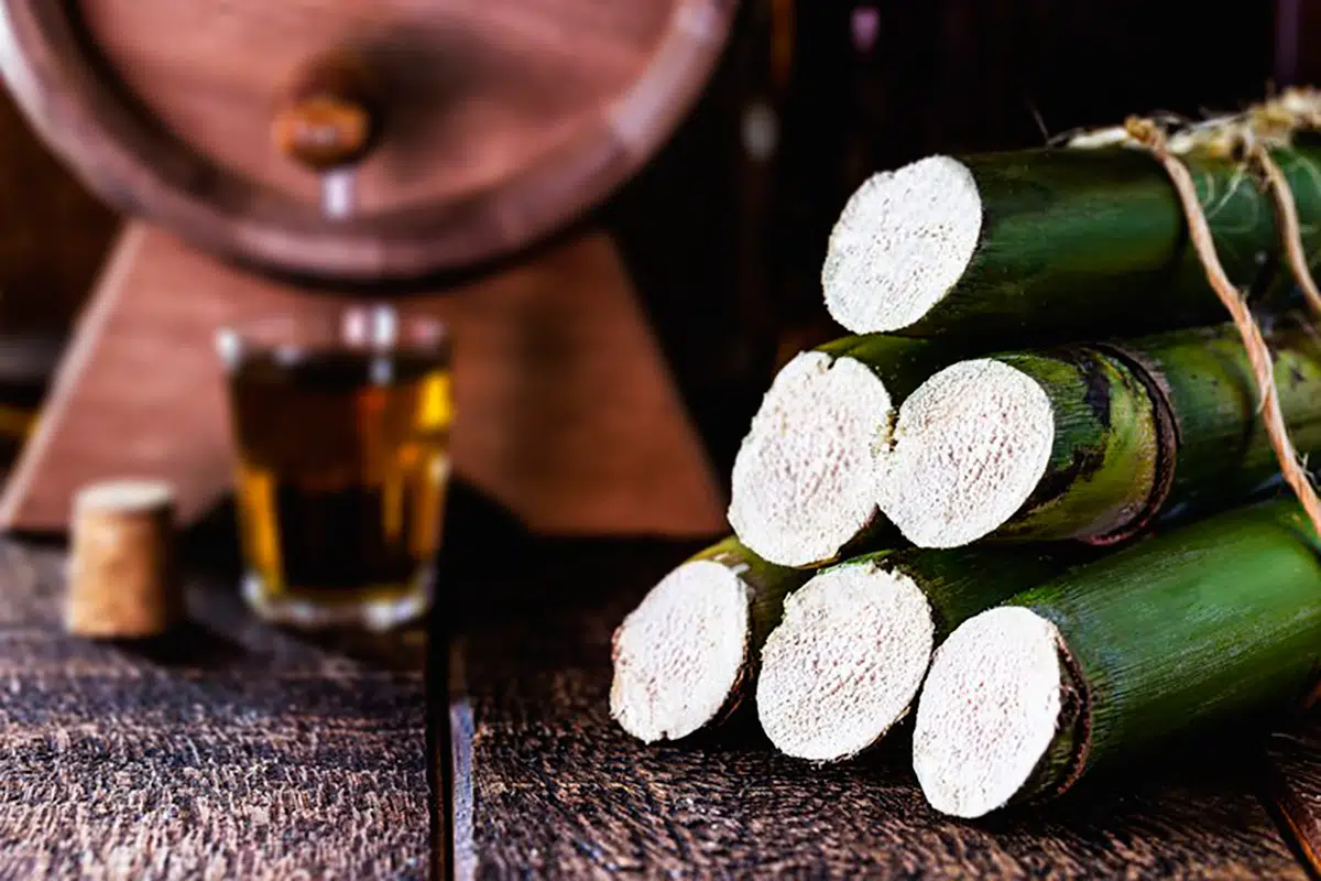 produtores de aguardente e cachaça registrados no Brasil aumenta 4,14% em 2020