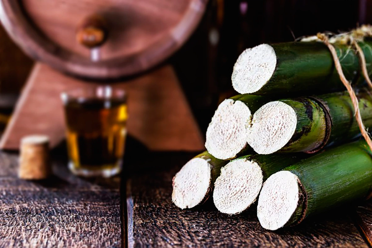 produtores de aguardente e cachaça registrados no Brasil aumenta 4,14% em 2020