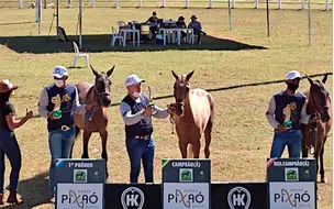Seagro promove evento com vaquejada, exposição de animais e muito mais, confira