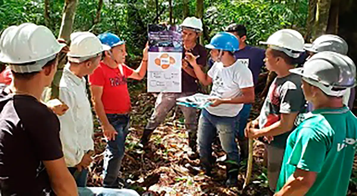 Treinamento em manejo de mínimo impacto em açaizais nativos, no Marajó,Pará