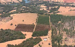 Conselho aprova apoio de R$ 1,32 bilhão a cafeicultores afetados por geada