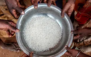 Crise climática e COVID-19 empurram 23 países para insegurança alimentar aguda