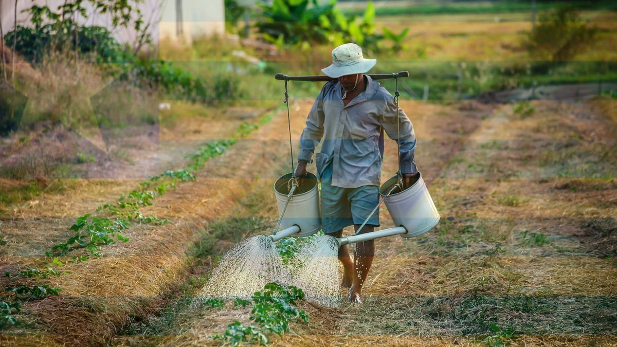 Pio IX Recebe do Governo do Piauí Título Definitivo de Propriedade de Terra para 47 famílias de pequenos agricultores