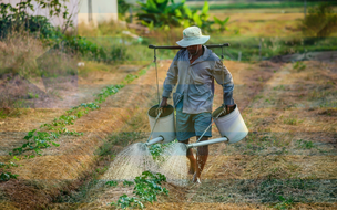 O Governo do Piauí entregou 4.667,2634 hectares para pequenos agricultores