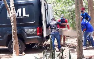 Corpo é encontrado dentro de chiqueiro na zona rural de Teresina