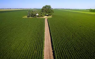 Valor da produção agrícola nacional tem recorde em 2020 com R$ 470,5 bilhões