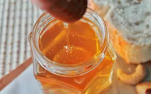 Piauí fica entre os maiores produtores de mel do nordeste, segundo dados do IBGE