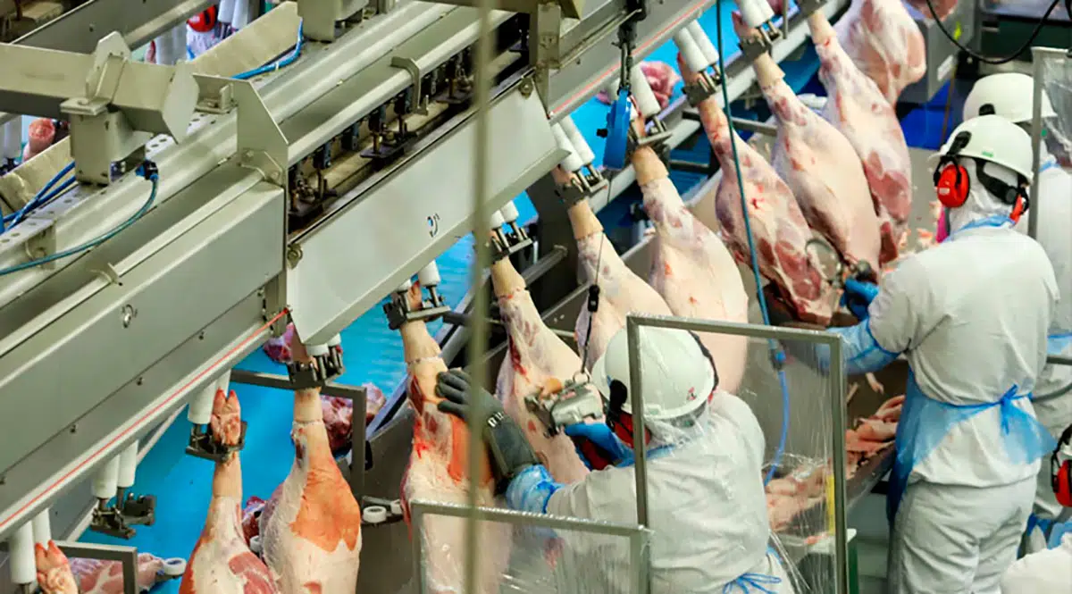 Setor de alimentos foi o que mais influenciou o resultado geral do IPP de agosto.
