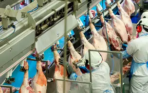 Inflação da indústria sobe 1,86% em agosto, com alta em todas as atividades