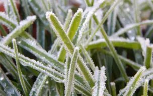 La Niña novamente pode favorecer a ocorrência de geadas em Mato Grosso do Sul