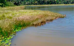 Tragédia: Garoto morre afogado ao tentar salvar amigo no Piauí