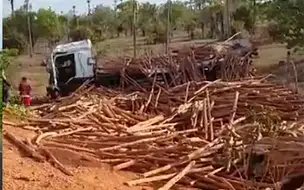 Acidente: Caminhão com carga de madeira capota na PI-114 próximo a Cabeceiras
