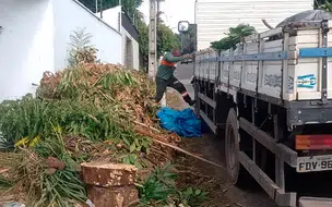 Parceria da Equatorial e PMT estabelece recolhimento de resíduos de poda em THE