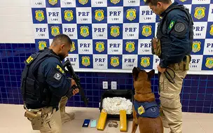 PRF apreende droga avaliada em R$ 255 mil em ônibus na BR 230