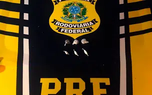 Homem é autuado pela PRF por portar maconha e cocaína para consumo