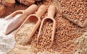 Trigo tem maior alta em 14 anos por causa da Guerra na Ucrânia