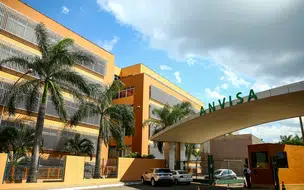 Governo solicita à Anvisa liberação de vacina contra a varíola dos macacos