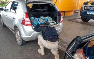 PRF prende dois e apreende cocaína avaliada em mais de R$ 11 Milhões.