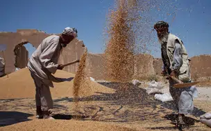Conflito na Ucrânia deve limitar abastecimento de alimentos e aumentar fome