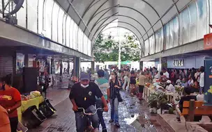 Prefeitura promove a 5ª Edição do Feira de Arte e Agricultura Familiar