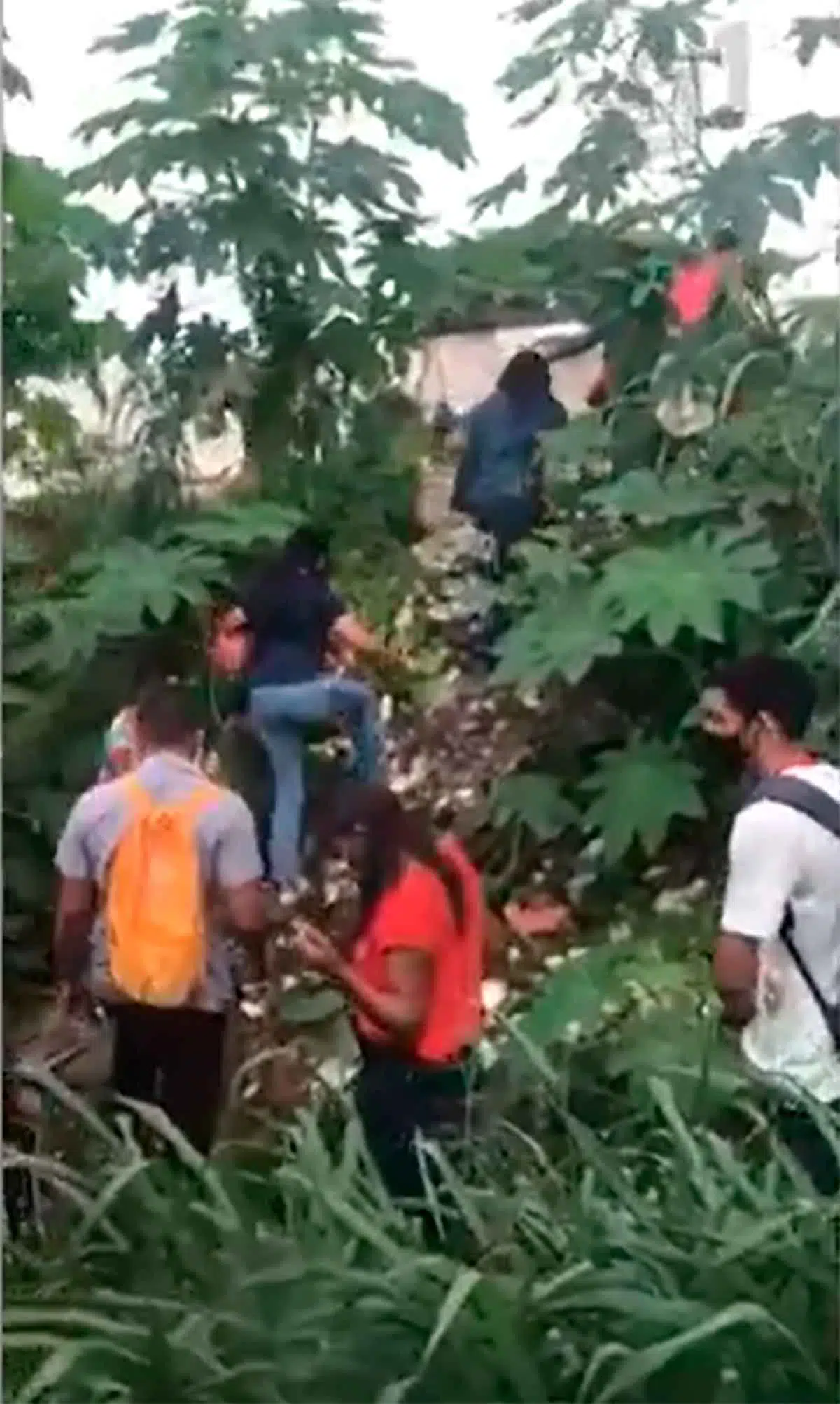 Usuários atravessam matagal a pé após pane no metrô de Teresina