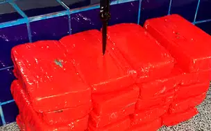 Casal é preso com cocaína avaliada em R$ 2,5 milhões no Piauí