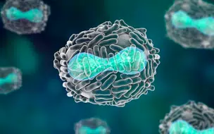 Um caso de Monkeypox é confirmado em cidade do Piauí