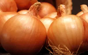 Pesquisa desenvolve variedade de cebola com maior durabilidade pós-colheita