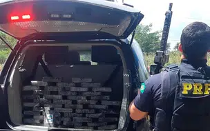 Motorista de ônibus é preso transportando mais de 46kg de cocaína no Piauí