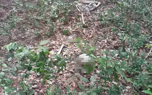 Populares encontram ossada humana próximo a Lagoa do Portinho, litoral do Piauí