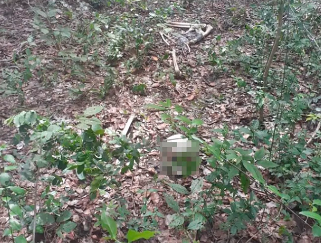 Crânio humano pertencente a ossada encontrada no litoral do Piauí na tarde desta segunda-feira 20