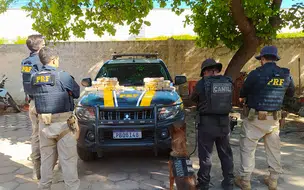 PRF apreende mais de R$ 3 milhões de reais em droga no Piauí