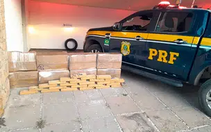 PRF apreende mais de 250 kg de drogas na BR 316, em Teresina
