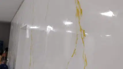 Pintor piauiense faz sucesso no Maranhão com pinturas de efeitos decorativos