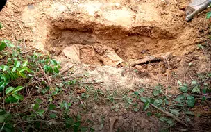 Corpo é encontrado enterrado em cova rasa em Parnaíba