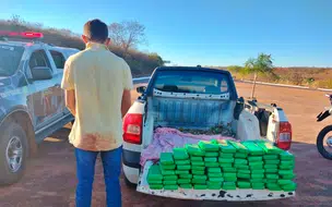 Homem é preso com quase 80 kg de maconha na BR-020, no Piauí