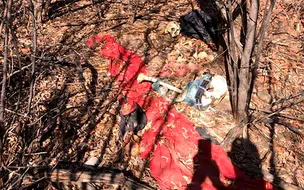 Caçador encontra ossada humana em cidade do Piauí