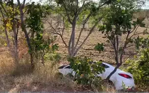 Motorista morre após colidir contra árvore no interior do Piauí