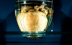 Coração de D. Pedro I chega ao Brasil para as comemorações da independência