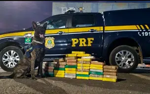 PRF apreende cocaína avaliada em R$ 7 milhões em Timon, MA