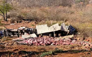 Carga de carne é saqueada após caminhão tombar na BR-316 em Picos